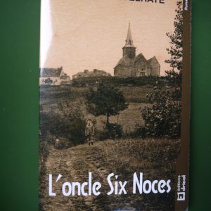 L'oncle six noces, Jean-Pierre Delhaye, Dricot, 2016