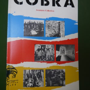 Cobra aventures collectives, divers, Amersfoortse cultureele raad, 1984