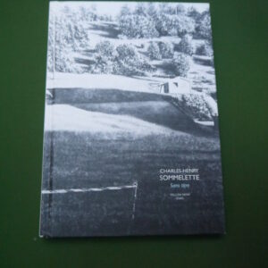 Sans titre, Charles-Henry Sommelette, Yellow now/ESAVL, 2018